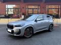 1 BMW X1